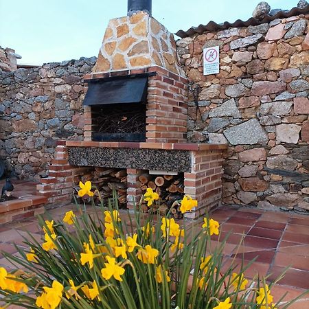 Vila La Casa Del Buho Santa Maria la Real de Nieva Exteriér fotografie
